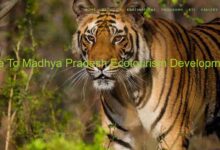 मध्यप्रदेश के 24 ईको पर्यटन क्षेत्र अब सौंपे जायेंगे निजी क्षेत्र को
