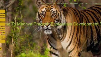 मध्यप्रदेश के 24 ईको पर्यटन क्षेत्र अब सौंपे जायेंगे निजी क्षेत्र को