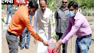 मुख्यमंत्री श्री चौहान ने केसिया और कदंब का पौधा लगाया