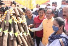 मध्यप्रदेशवासी आनंद और उत्साह से मनाएं होली का त्यौहार