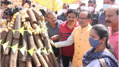 मध्यप्रदेशवासी आनंद और उत्साह से मनाएं होली का त्यौहार