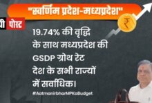 जनता पर कोई टैक्स नहीं लगाया न ही कोई दर बढ़ाई -वित्त मंत्री,मध्यप्रदेश शासन जगदीश देवडा ने कहा