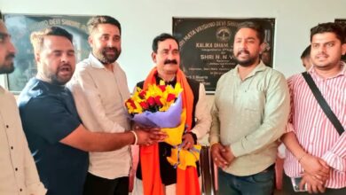 "द कश्मीर फाइल्स" वेव सिनेमा में