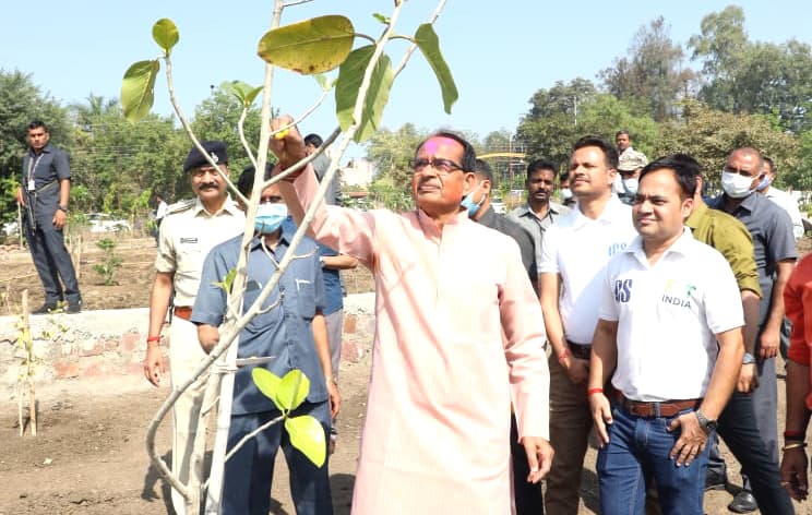 हर व्यक्ति एक पेड़ जरूर लगाएं सीएम एमपी शिवराज सिंह चौहान की अपील