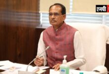 एमपी में देसी गाय रखने पर उपलब्ध कराए जाएंगे 900 रुपये प्रति माह