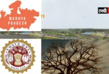 ड्रोन टेक्नॉलाजी में नवाचार के लिये मध्यप्रदेश के हर जिले को मिलेंगे 10 लाख रुपये