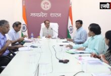 एमपी में उद्यानिकी फसलों की ब्रांडिंग और मार्केटिंग मिशन मोड पर की जाए