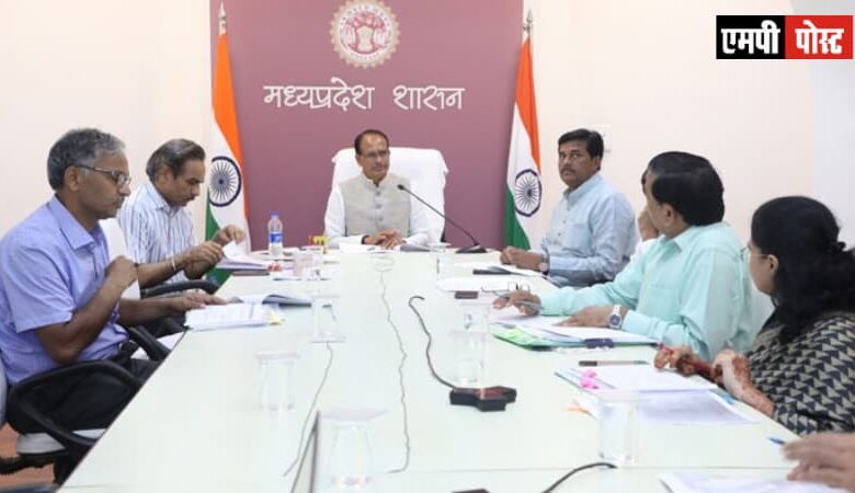 एमपी में उद्यानिकी फसलों की ब्रांडिंग और मार्केटिंग मिशन मोड पर की जाए