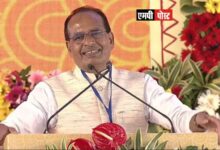 भारत में चीतों का पुनर्स्थापन सदी की वाइल्ड लाईफ की सबसे बड़ी घटना