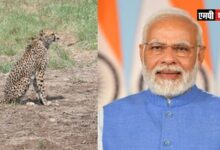 स्व-सहायता समूह बन गए हैं अब राष्ट्र सहायता समूह