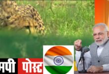 प्रधानमंत्री नरेंद्र मोदी ने “मन की बात” में एमपी कूनो के चीतों पर देशवासियों से की चर्चा