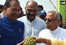 एमपी के "सिवनी जम्बो सीताफल" ब्रांड को देश-प्रदेश में लोकप्रिय बनाएँ