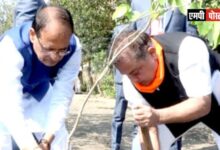 मध्यप्रदेश के मुख्यमंत्री,शिवराज सिंह चौहान के प्रतिदिन पौध-रोपण के 21 माह पूर्ण