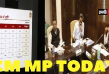 एमपी में बिजली कटौती की स्थिति पैदा न हो बिजली क्षमता बढ़ाने की कार्य-योजना बने