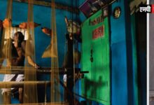 अंतरराष्ट्रीय महिला दिवस पर मध्यप्रदेश के मृगनयनी शो-रूम पर विशेष छूट अभियान 5 से 11 मार्च तक