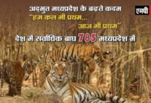 मध्यप्रदेश एक बार फिर टाइगर स्टेट बना