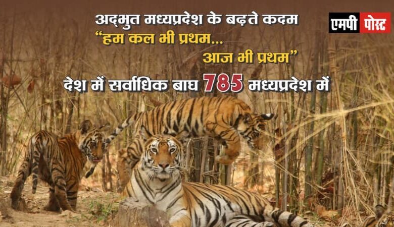 मध्यप्रदेश एक बार फिर टाइगर स्टेट बना
