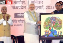 विश्वभर का ध्यान एमपी की गोंड पेंटिंग पर