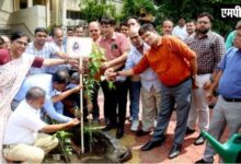 “एक पेड़ माँ के नाम”