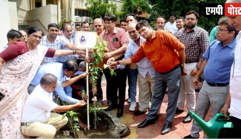 “एक पेड़ माँ के नाम”