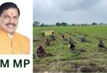 MP CM सीएम एमपी मोहन यादव की मौजूदगी में खाद्य प्रसंस्करण उत्पादकों की बायर-सेलर मीट 30 जुलाई को