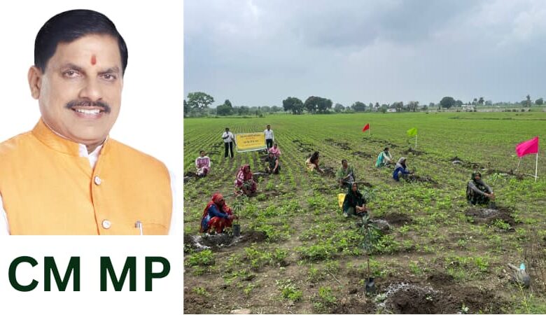 MP CM सीएम एमपी मोहन यादव की मौजूदगी में खाद्य प्रसंस्करण उत्पादकों की बायर-सेलर मीट 30 जुलाई को