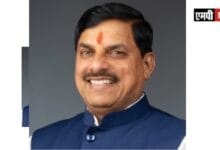 CM MP DR YADAV-मुख्यमंत्री डॉ. यादव अंतर्राष्ट्रीय चीता दिवस पर कूनो में 3 चीते छोड़ेंगे जंगल में