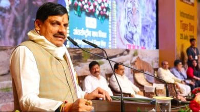 International-Tiger-Day-मध्यप्रदेश में बाघों का कुनबा निरंतर बढ़ रहा है- मुख्यमंत्री डॉ. यादव