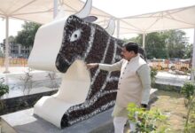 Diya-आशीर्वाद का दीया आयोजन के तहत उपयोग किए गए दीयों से बनी नंदी की भव्य आकृति