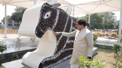Diya-आशीर्वाद का दीया आयोजन के तहत उपयोग किए गए दीयों से बनी नंदी की भव्य आकृति