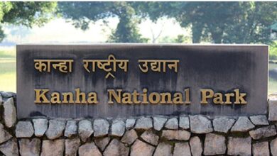 Kanha-National-Park-कान्हा एशिया का सबसे बड़ा नेशनल पार्क, वन्य प्राणियों के नैसर्गिंक जीवन निहारने एक बार कान्हा जरूर आएं : मुख्यमंत्री डॉ. यादव