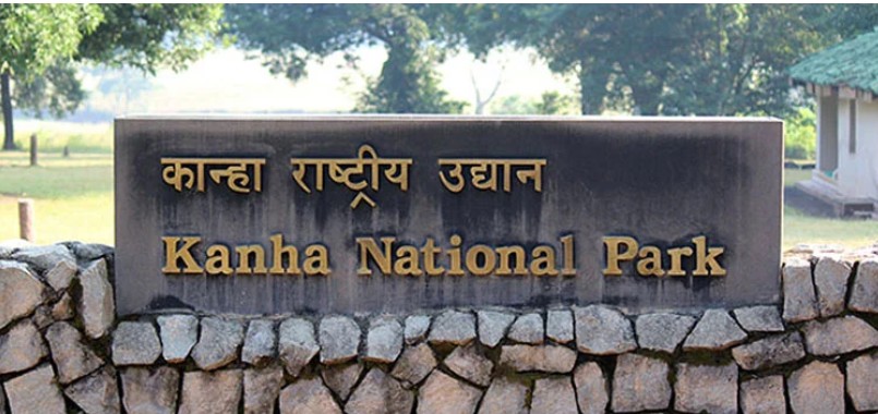 Kanha-National-Park-कान्हा एशिया का सबसे बड़ा नेशनल पार्क, वन्य प्राणियों के नैसर्गिंक जीवन निहारने एक बार कान्हा जरूर आएं : मुख्यमंत्री डॉ. यादव