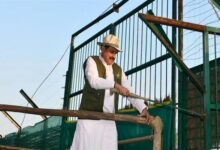 Kanha-Tiger-Reserve-कान्हा टाइगर रिजर्व के सूपखार में सौ साल बाद जंगली भैंसों की वापसी